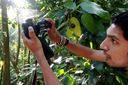 Field trip: Kartik Kumar (Technical University of Delft) observes a spider web
in <a href=http://www.fs.fed.us/r8/caribbean/>El Yunque</a>, a US Forest
Service tropical rain forest just outside Fajardo.