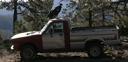 Here's one condor, which just landed on a pickup truck.  The pickup driver
Raymundo told me that the birds often attack the windshield wipers of the cars.
He still likes them though.